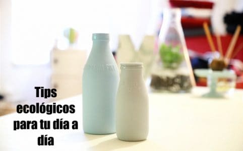 dos-botellas-de-leche-de-plastico-y-de-diferentes-tamanos
