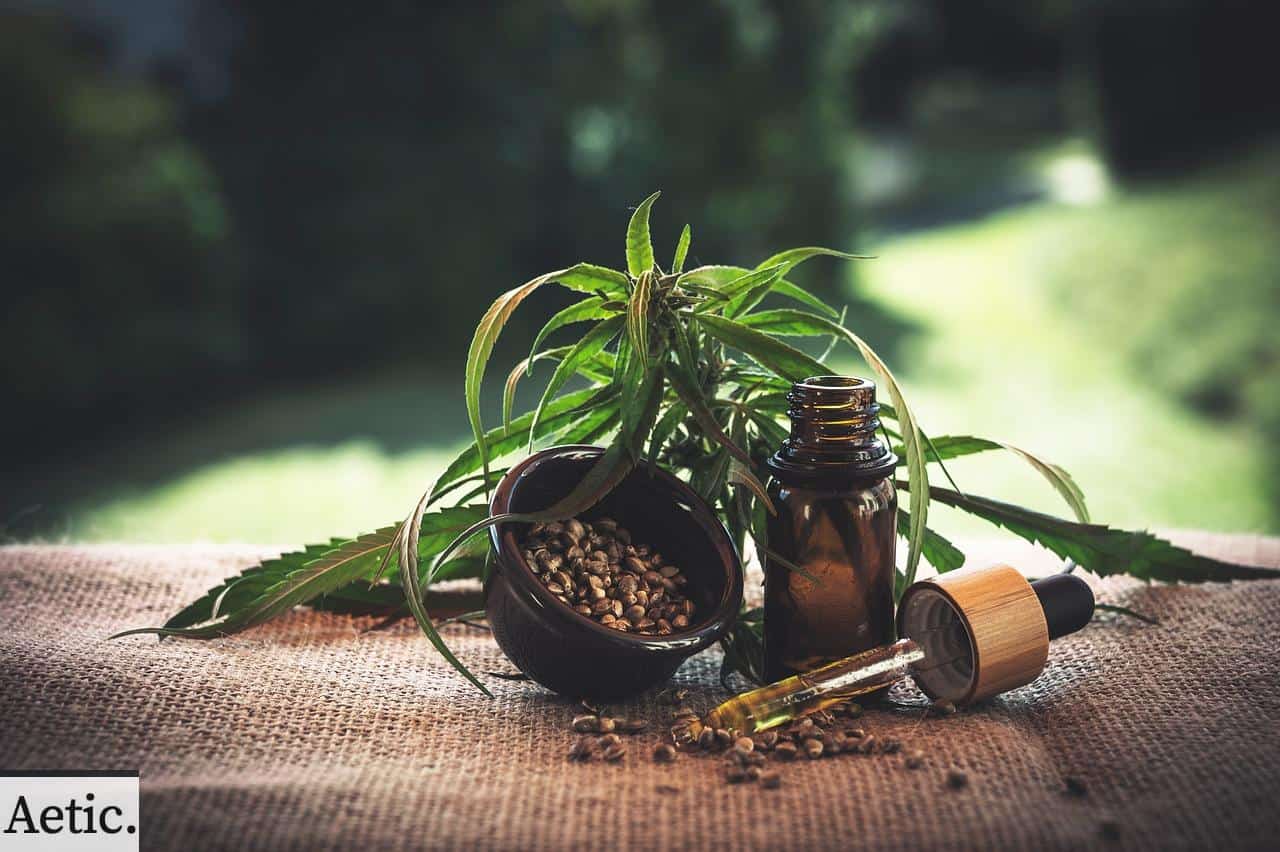 cbd, cannabidio, cbd oil