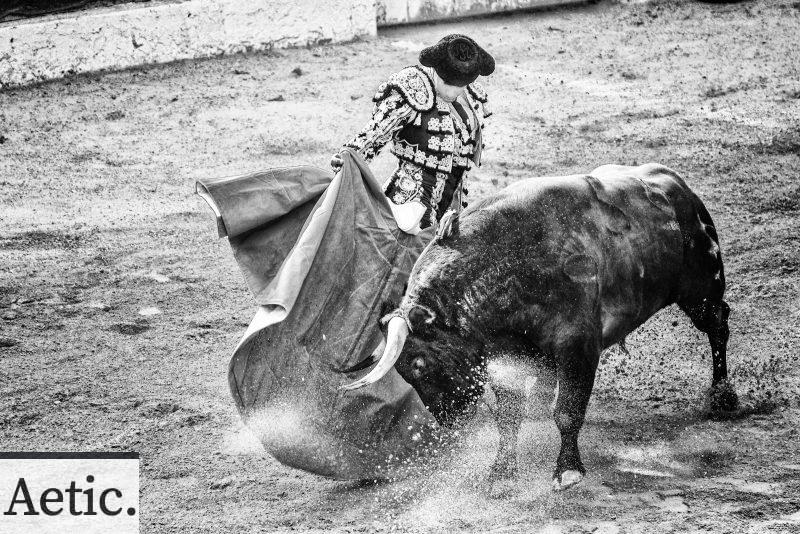 grayscale photo of matador and bull