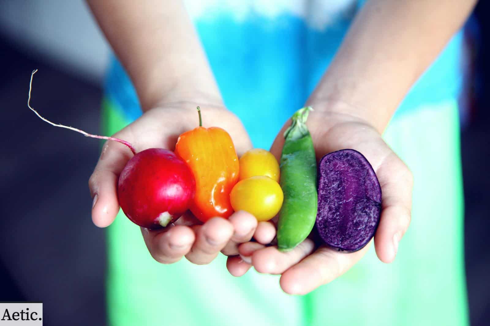 10 Alimentos Saludables que No Pueden Faltar en Tu Dieta Diaria