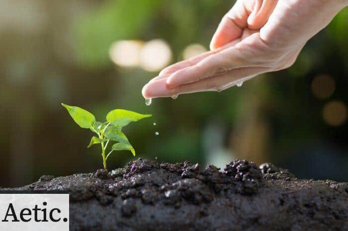 jardinería para el bienestar emocional