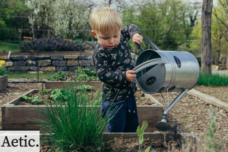 Beneficios de la jardinería para el bienestar emocional