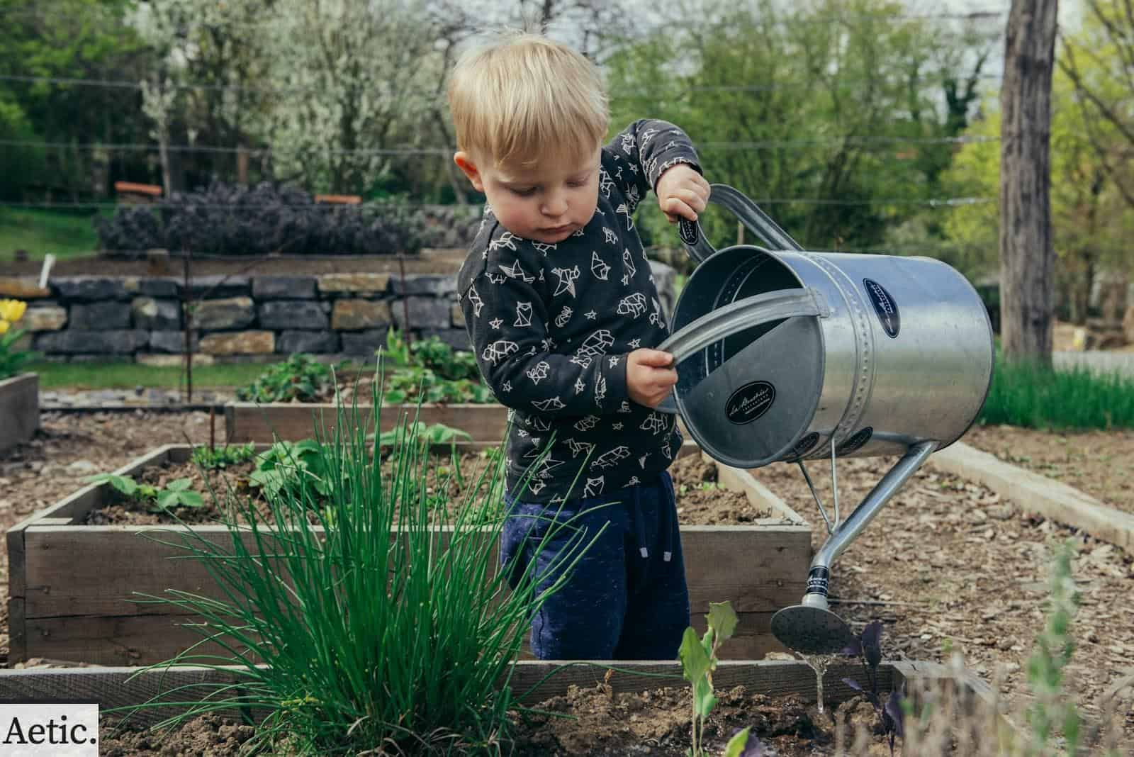 Beneficios de la jardinería para el bienestar emocional