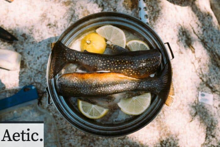 two raw fish with sliced lemon dish