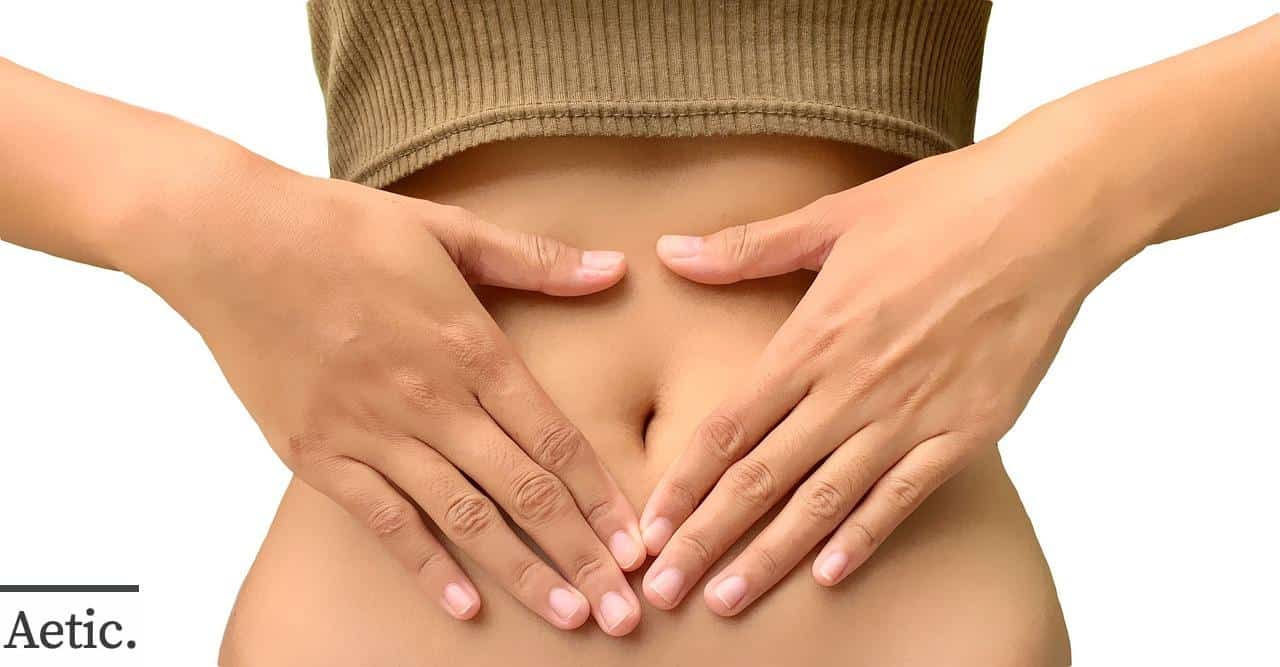 cuerpo humano