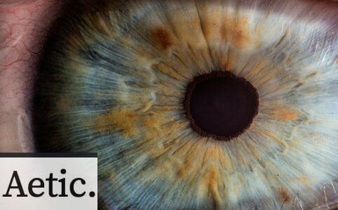 macro photography of human eye