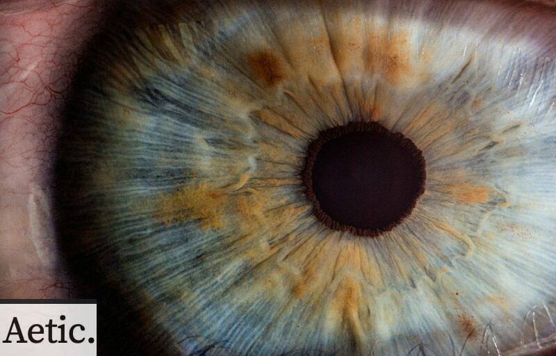 macro photography of human eye