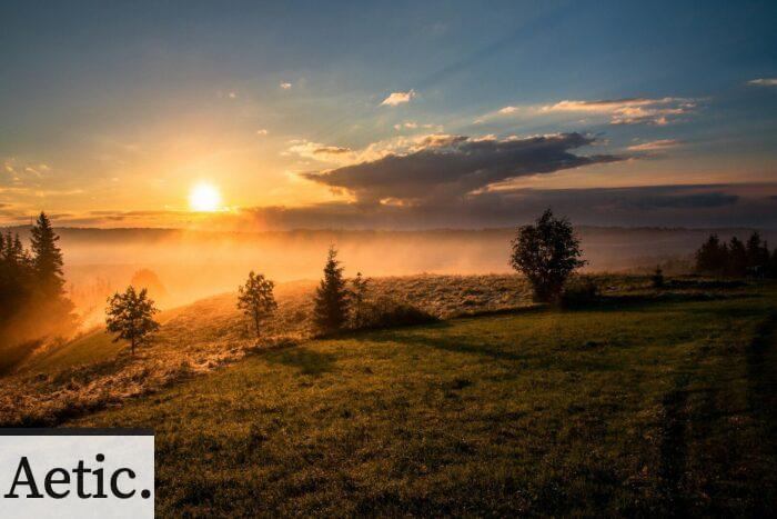 trees under cloudy sky during sunset